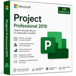 Microsoft Project Professional 2019