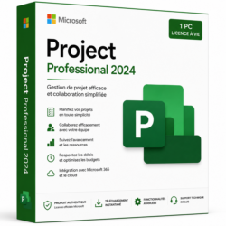 Microsoft Project Professional 2024