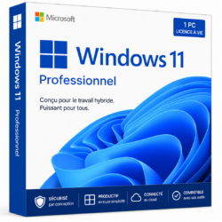 Windows 11 Professionnel